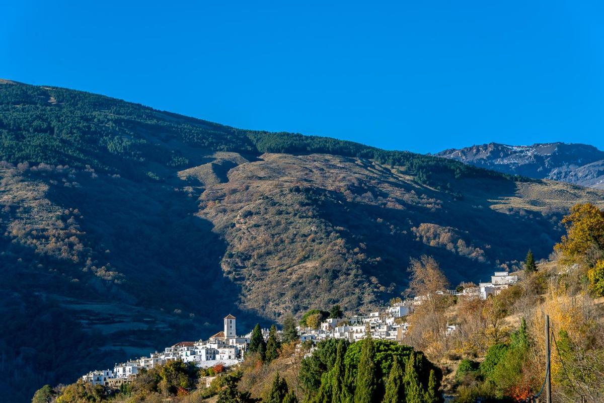 Apartamento Casa Manuela En Capileira - Alpujarra المظهر الخارجي الصورة